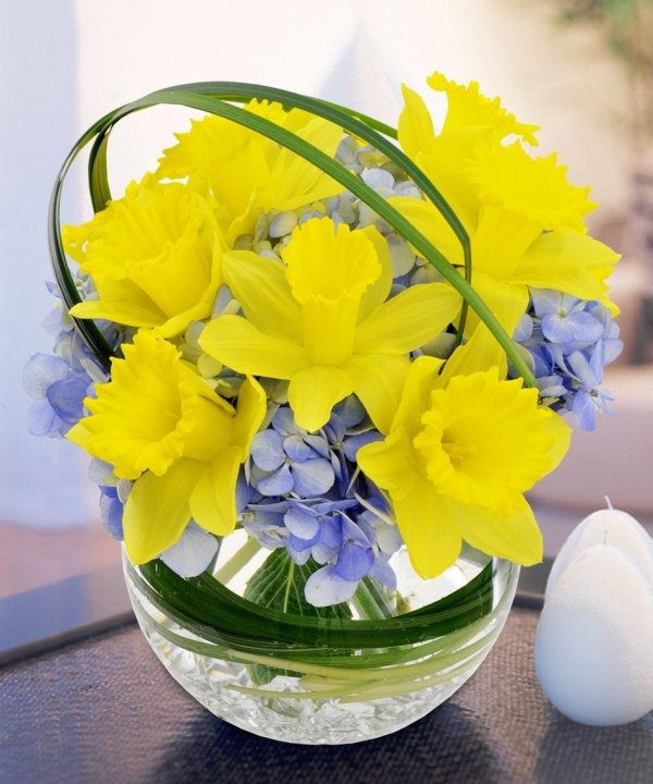 монобукет нарциссы