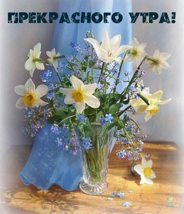 букет из незабудок и нарциссов