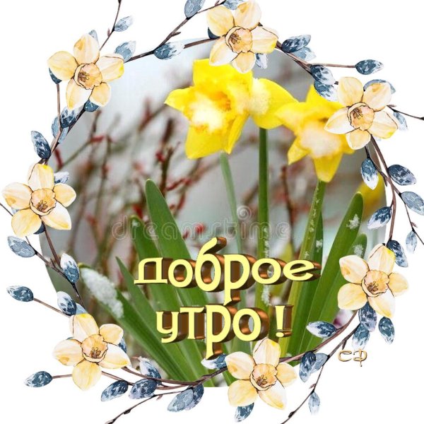 добрейшего весеннего утра