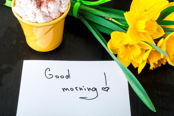 нарциссы и кофе