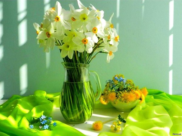 солнечного весеннего утра