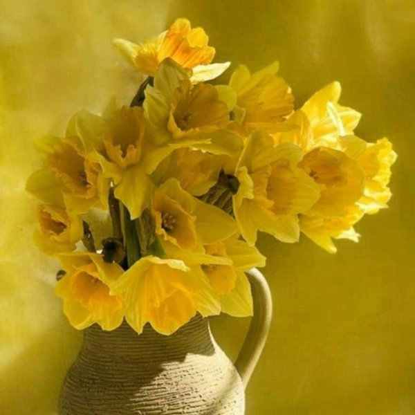 букет нарциссов
