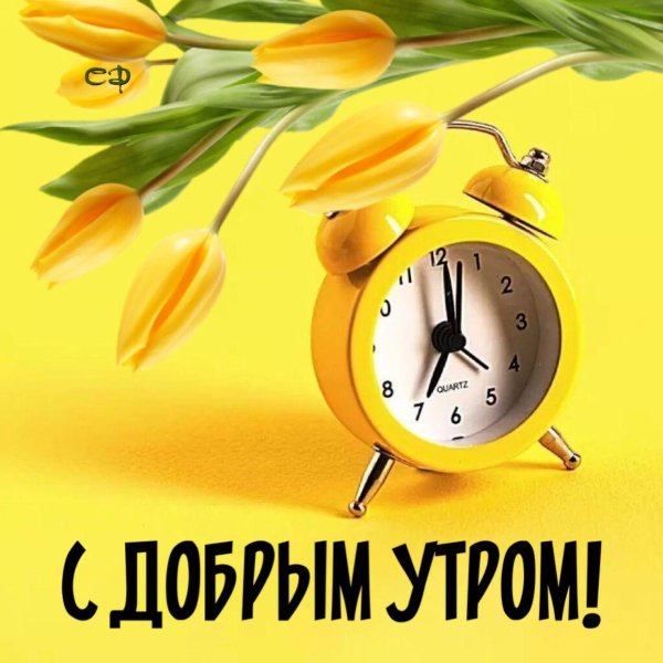 доброе весеннее утро