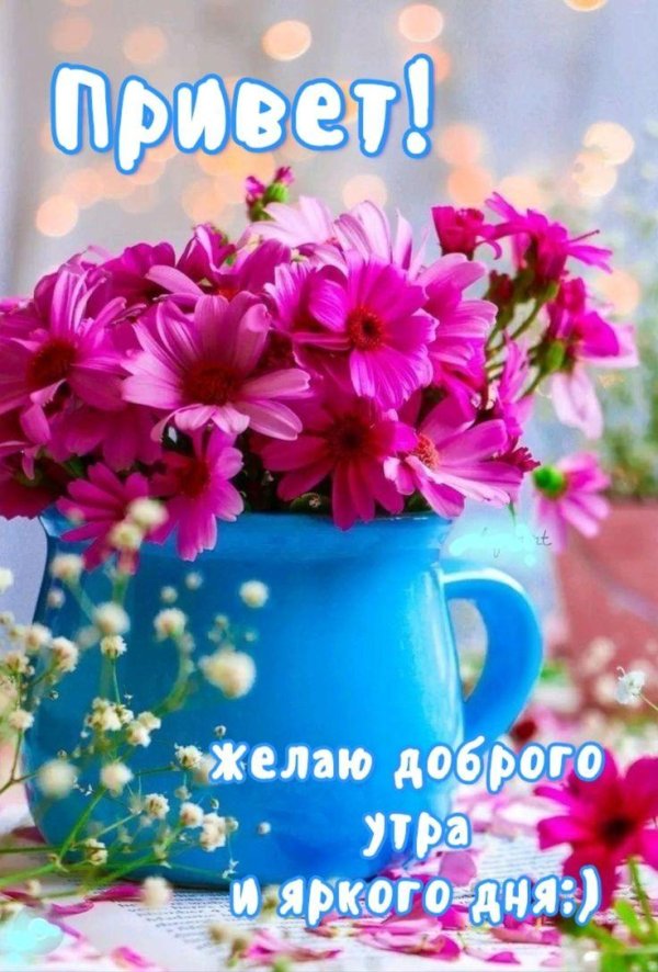 светлого утра