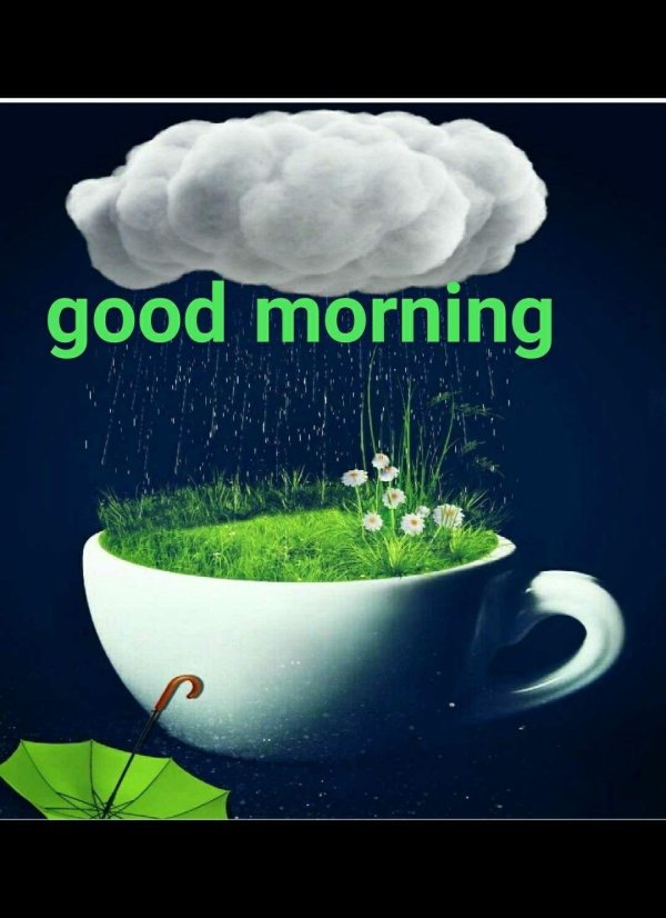 good rainy morning