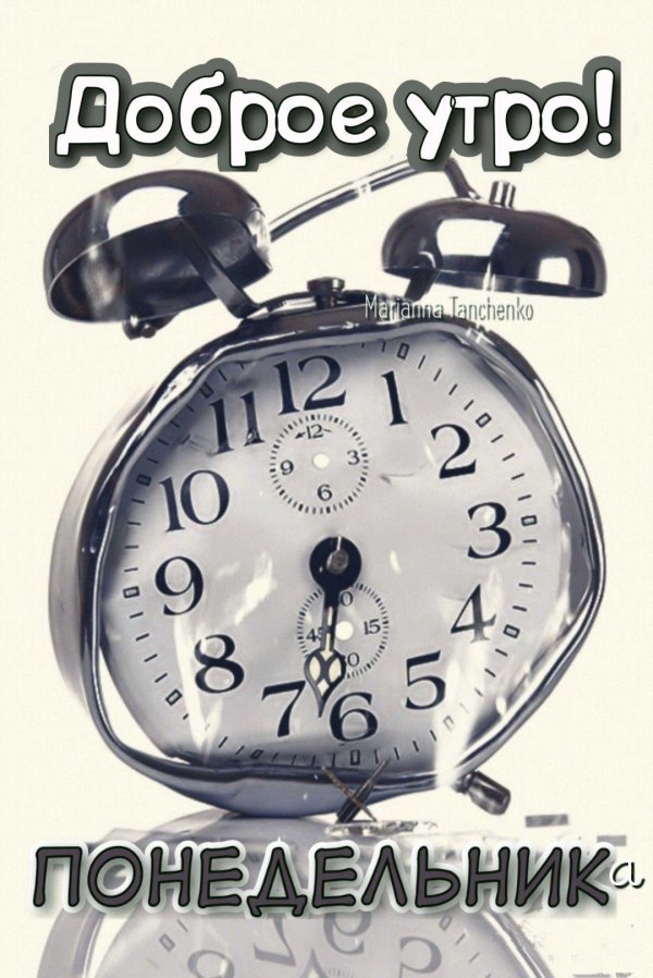 утро понедельник