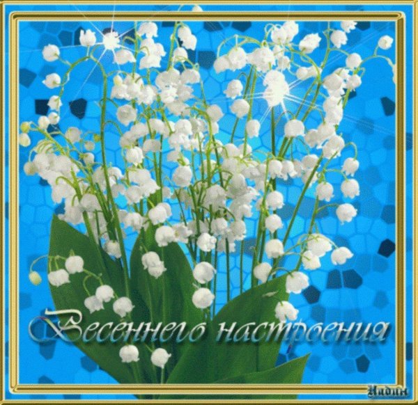 ландыши майские