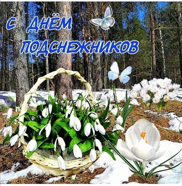 день подснежника
