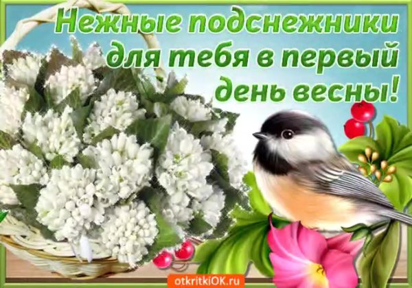 открытка с днём весны