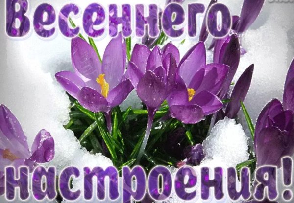 весеннее настроение