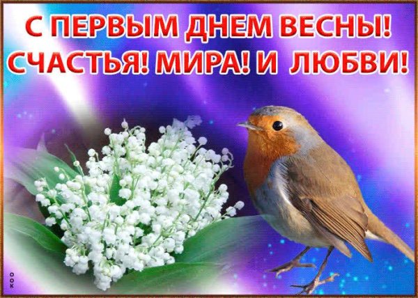 птица зарянка малиновка