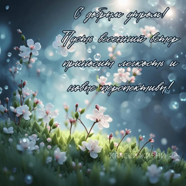доброго весеннего вечера