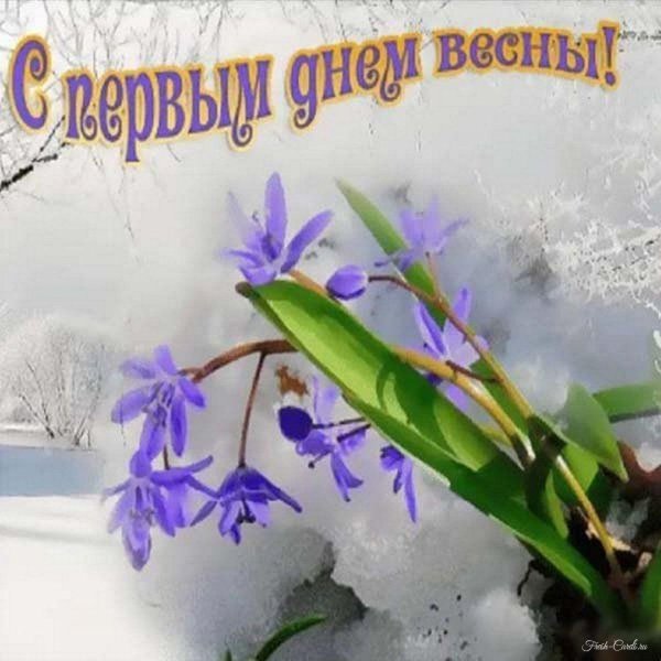 подснежник пролеска