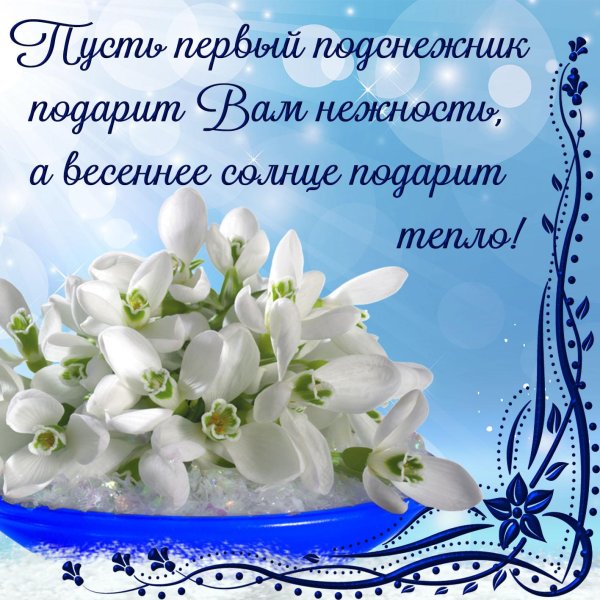 пусть первый подснежник подарит вам нежность