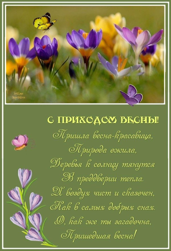 С весной с цветами и пожеланиями