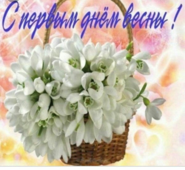 подснежник букет