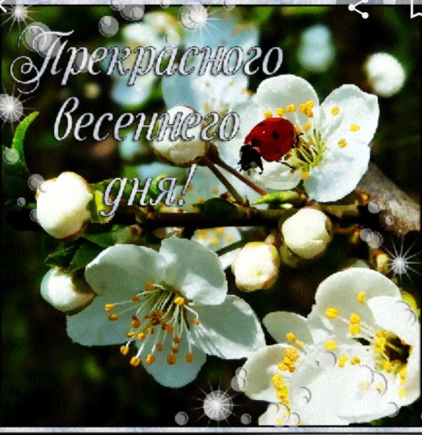 доброго весенненнго дня