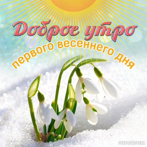 подснежники доброе утро