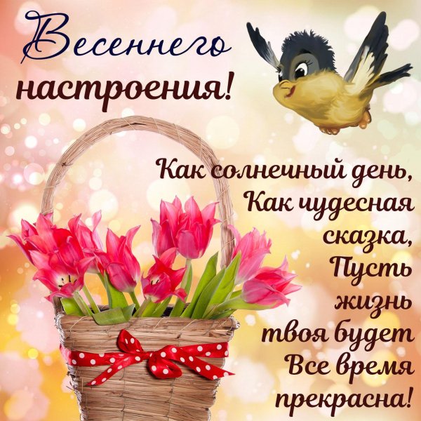 добрый день весна