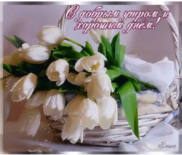 доброе весеннее утро позитивные пожелания