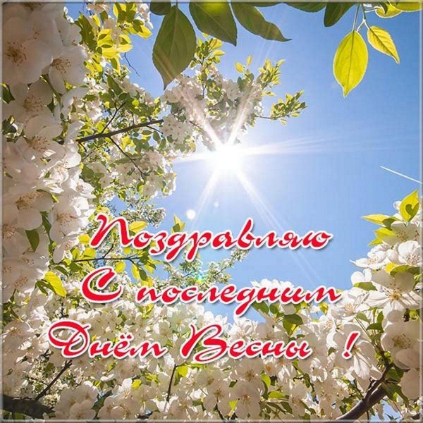 весеннее солнце