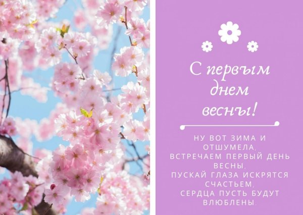 цветущая сакура
