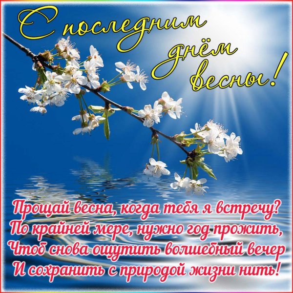 прощай весна