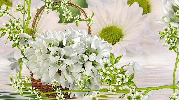 день подснежника