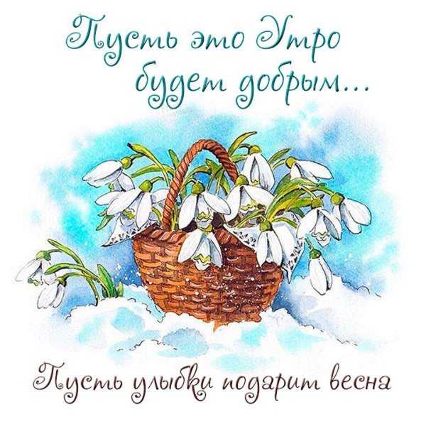 корзина с подснежниками