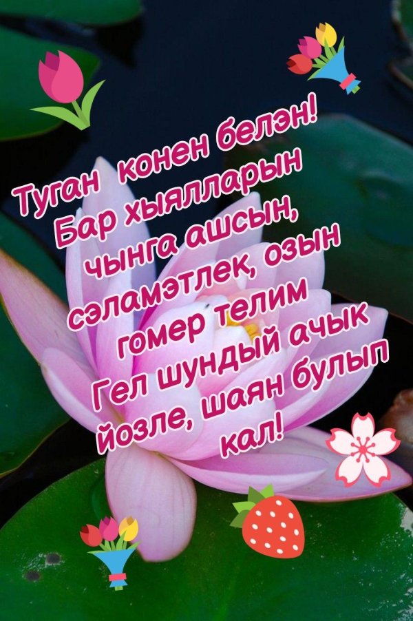 туган конен белэн альфия