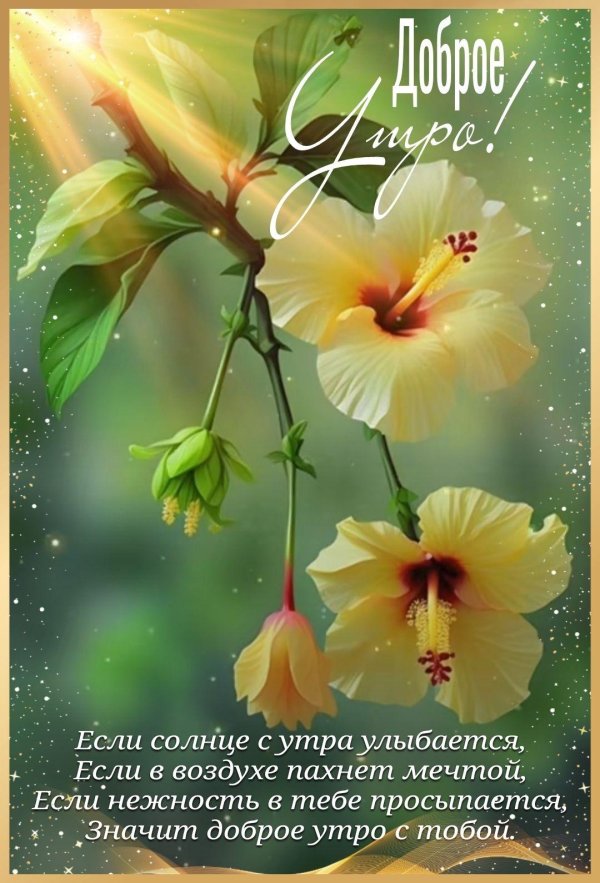добра утра