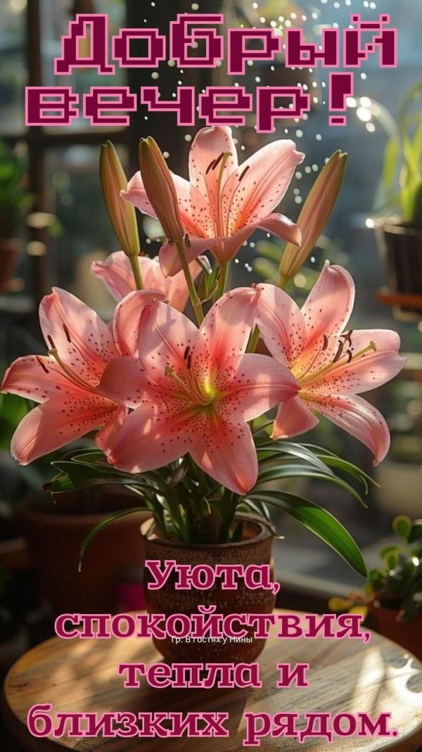 лилии красивые