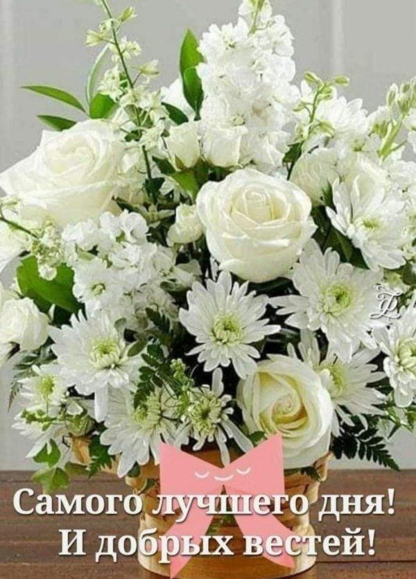 белые букеты