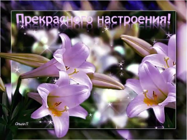 замечательного настроения