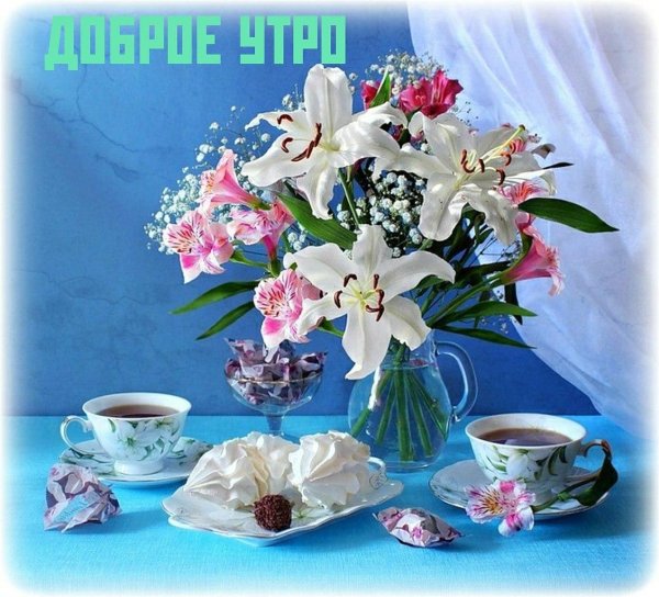 красивые букеты с добрым утром