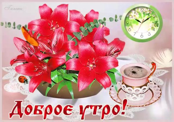 букет лилий с добрым утром