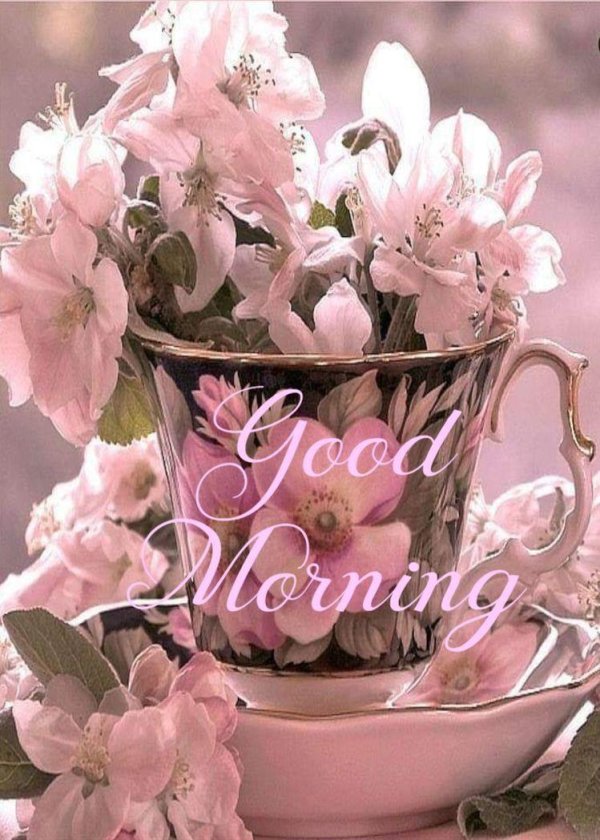 красивые цветы в чашке