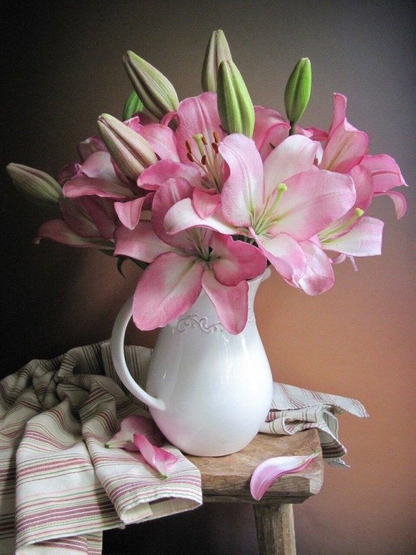 фотонатюрморты анна шевелева