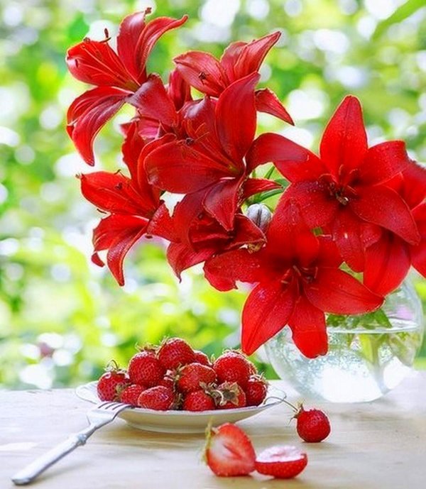 прекрасного дня