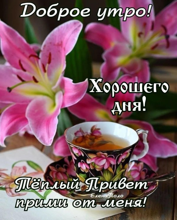 утра хорошего