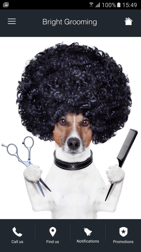 стрижка животных