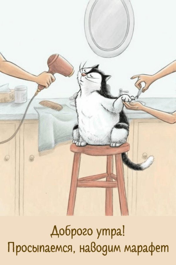 влюбленные коты алексея долотова