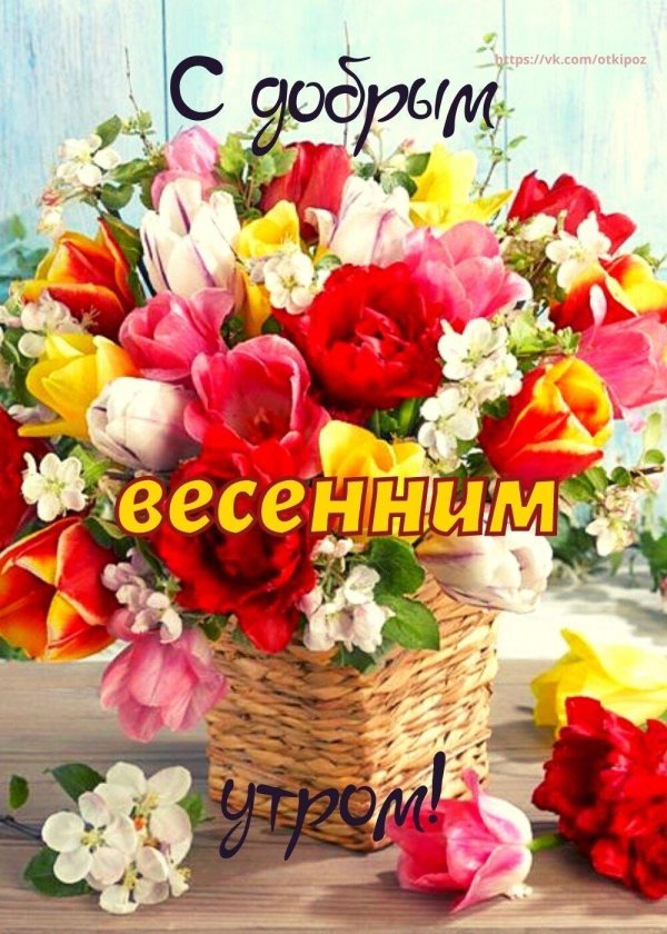 весенние букеты