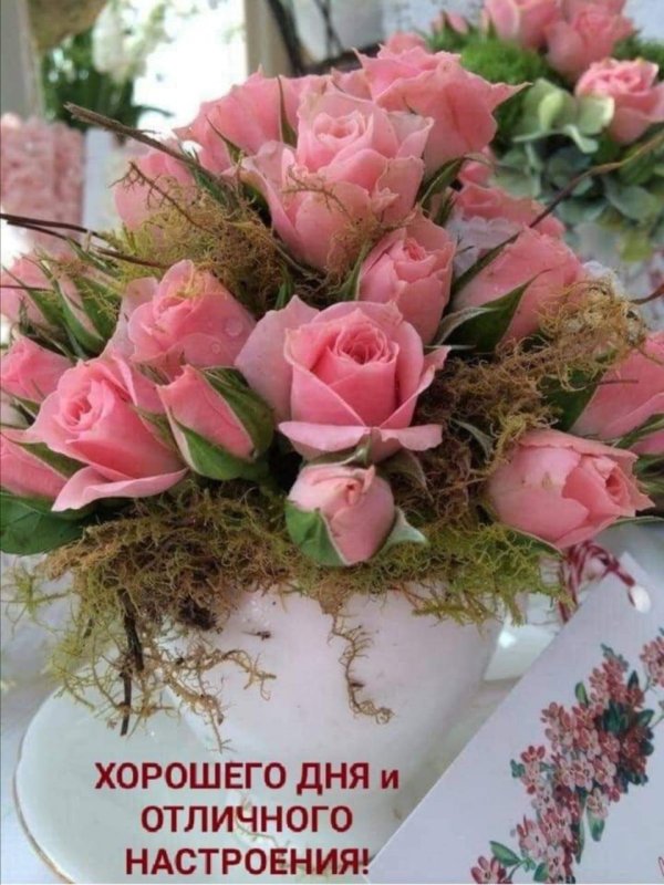 утренний привет