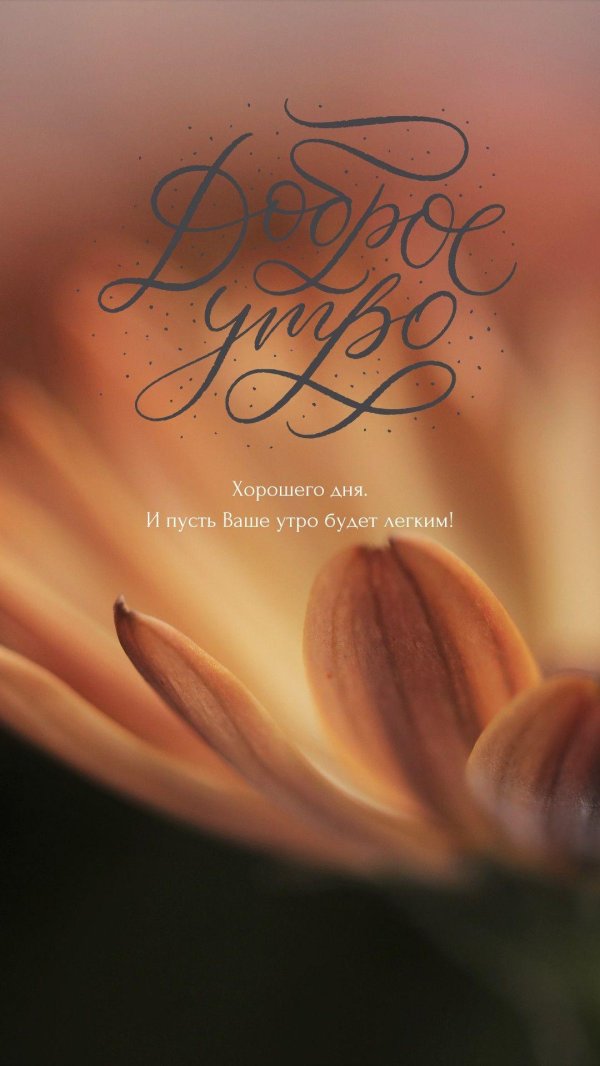 добра утра