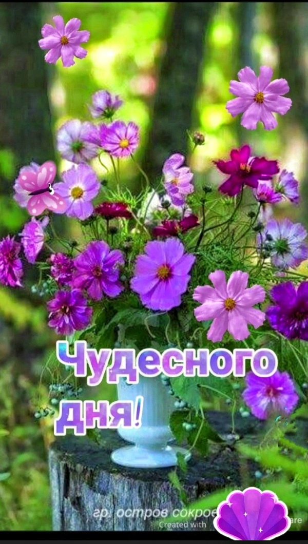 чудесного дня