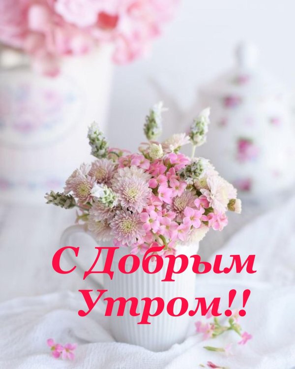 с добрым утром цветы
