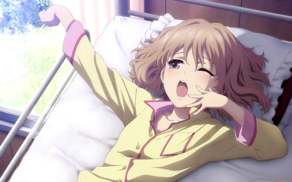 hanasaku iroha