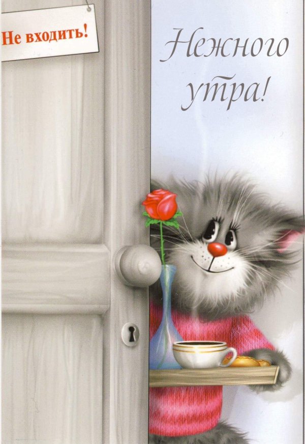 доброе утречко киски