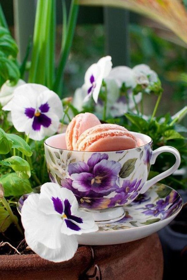 сервиз вербилки анютины глазки